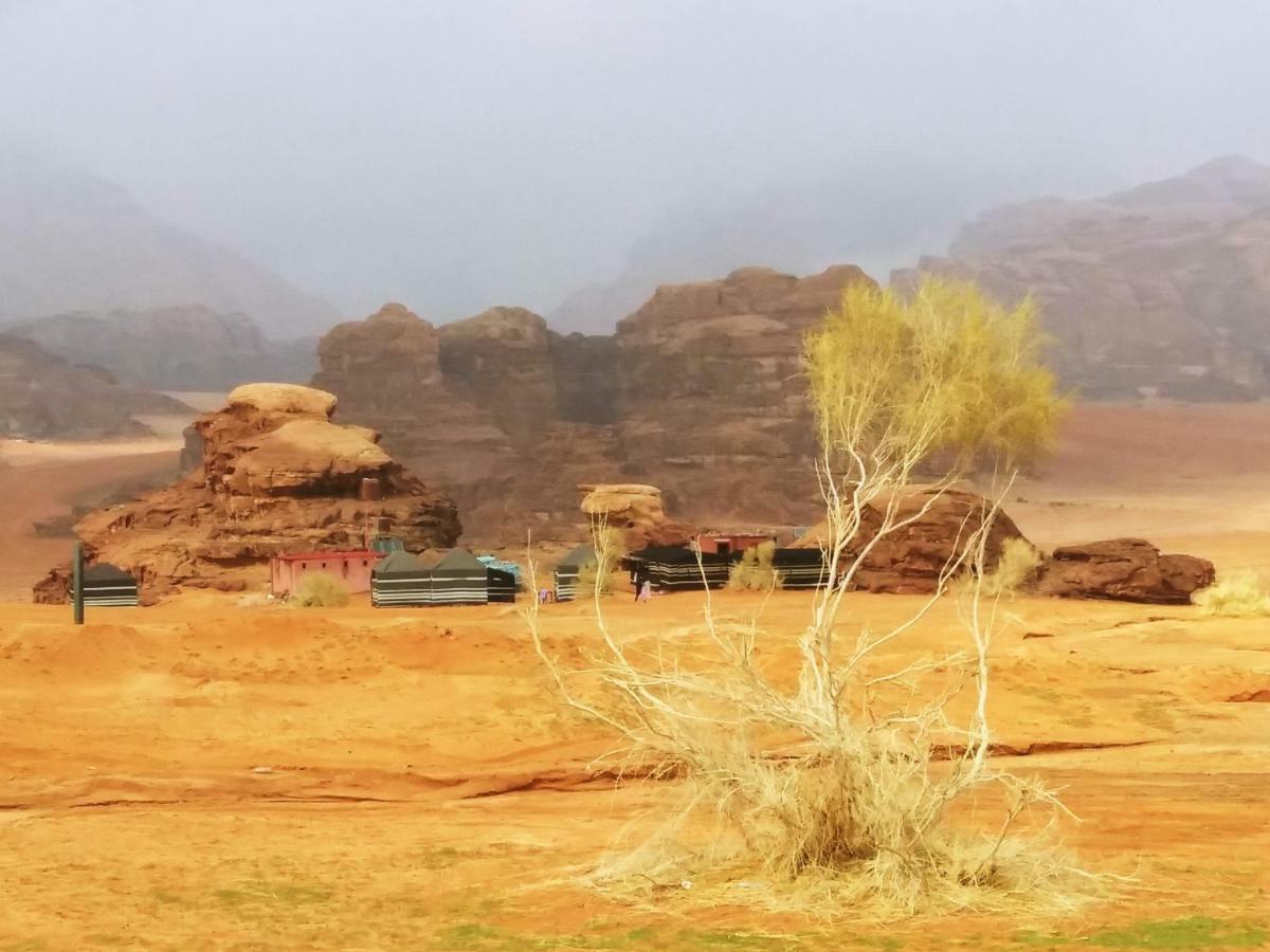 Bedouin Culture Camp Ουάντι Ραμ Εξωτερικό φωτογραφία